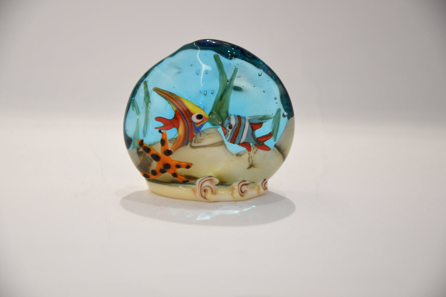 Small Murano glass aquarium