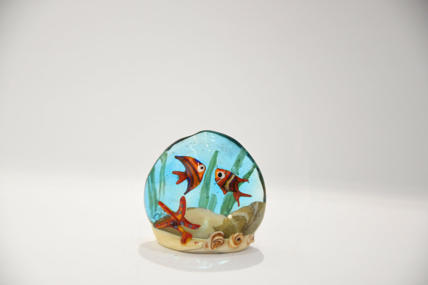 Small Murano glass aquarium