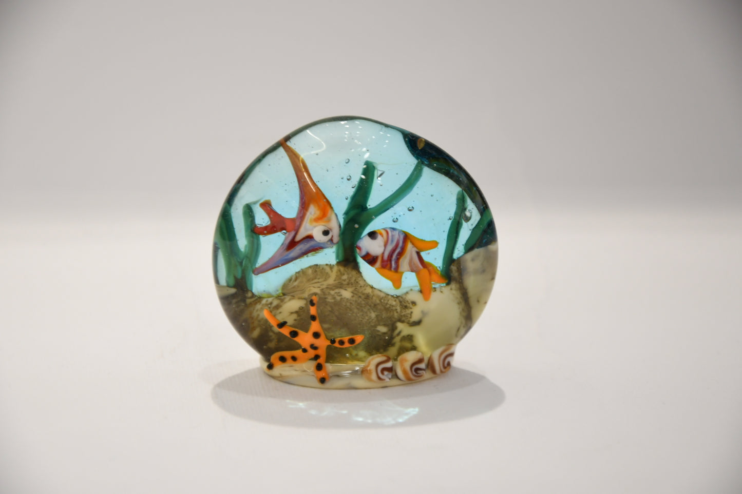 Small Murano glass aquarium